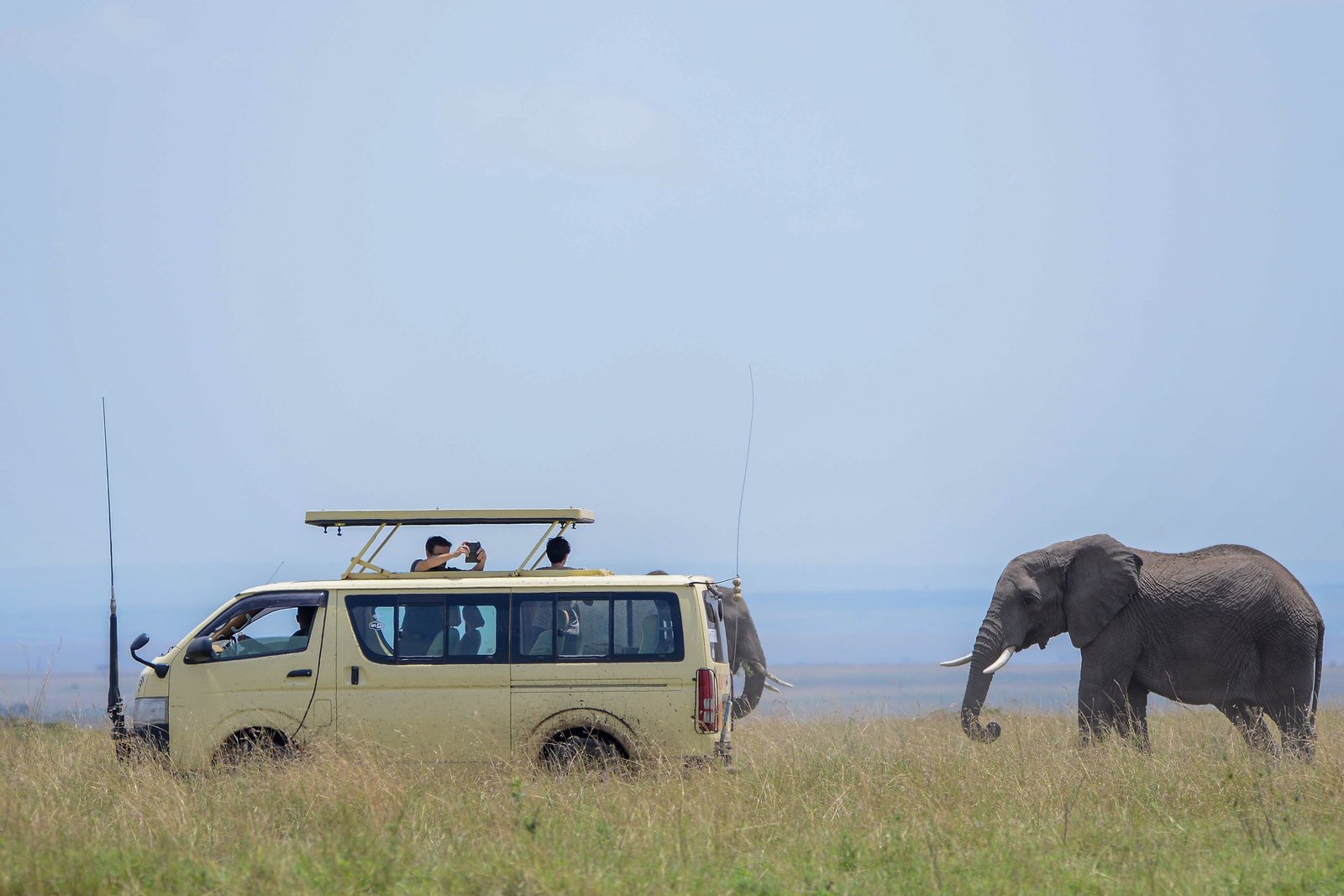 Safari Minivan Hire in Uganda To queen Elizabeth National Park to see the Elephants 