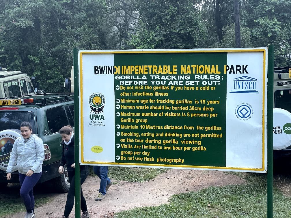 Bwindi Impenetrable Safari