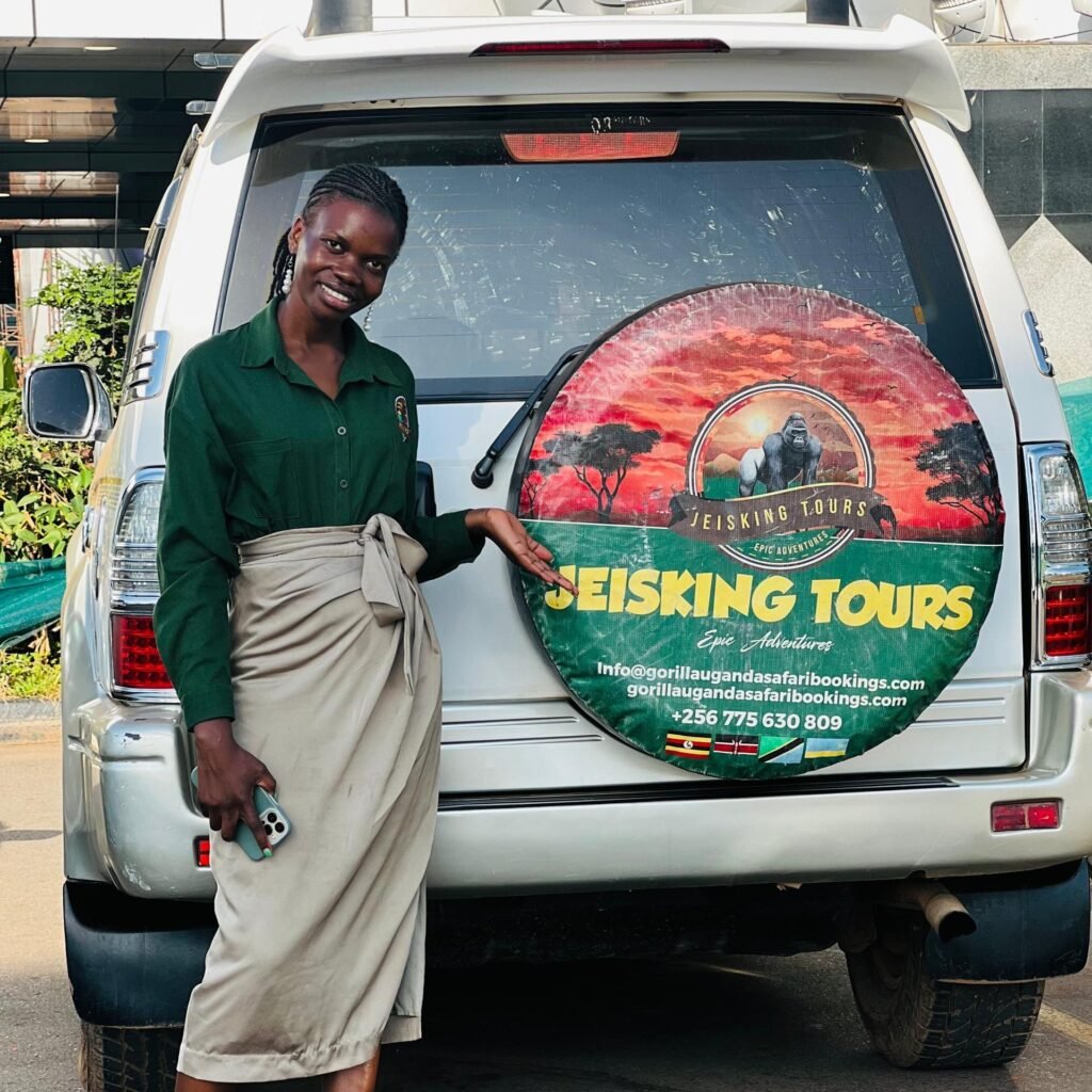 Jeisking Tours Safari
